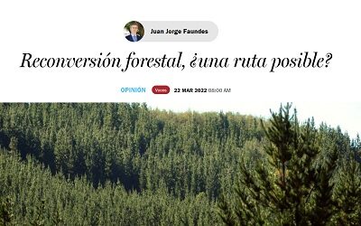 Reconversión forestal, ¿una ruta posible?
