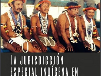 La jurisdicción especial indígena en Venezuela como derecho propio